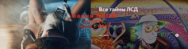 шишки Беломорск
