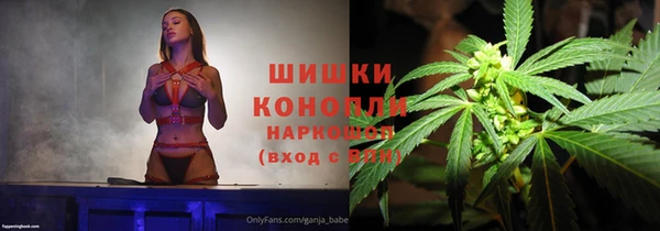 шишки Беломорск