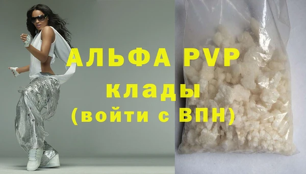 шишки Беломорск
