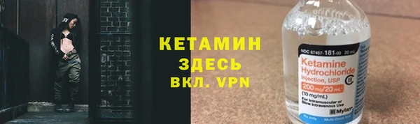 шишки Беломорск