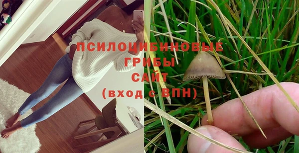 прущая мука Рославль