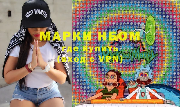 шишки Беломорск