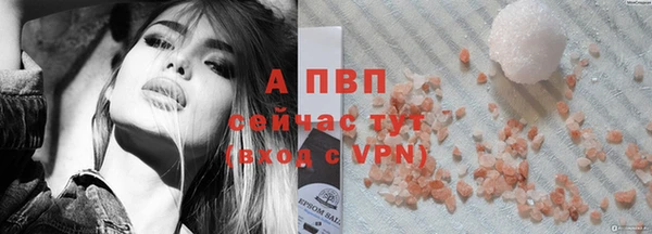 шишки Беломорск