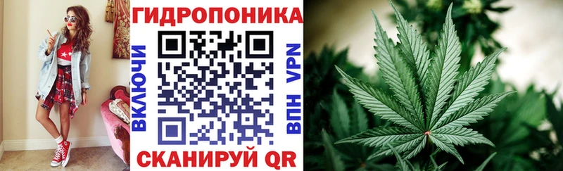Каннабис OG Kush  Семикаракорск 
